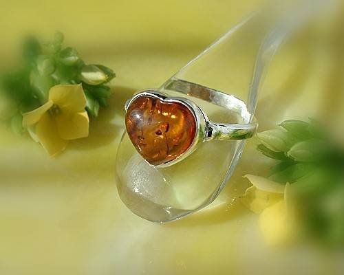 +Bernsteinschmuck - Bernstein-Ring  Silber-925  (9P)