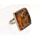 Bernstein Ring Silber 925 ha05