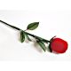 Schmucketui Schmuckverpackung Rose rot SK24