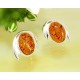 Bernstein Ohrstecker Silber 925 Ohrringe oval cognac Sterlingsilber ED29