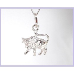 Sternzeichen Stier Silberschmuck  (HD)