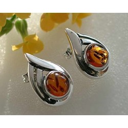 Bernstein Ohrstecker Ohrringe Silber 925 wx