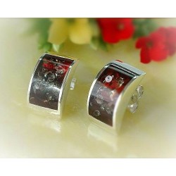 Bernstein Ohrstecker Silber 925 ED157