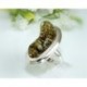 Bernsteinschmuck - Bernstein-Ring 17 mm  Silber-925  (HA26)
