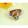 Bernstein Brosche Silber 925 Bernsteinschmuck AG35