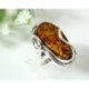 Bernsteinschmuck - Bernstein-Ring 17,5 mm SILBER 925  (HD52)