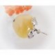 Bernsteinschmuck  Bernstein Brosche Silber 925  CY02