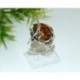 Bernsteinschmuck - Bernstein-Ring 20 mm Silber-925  (HF09)