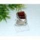 Bernsteinschmuck Bernstein Ring 20 mm Silber-925 HF10a
