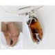 Bernsteinschmuck - Bernstein-Collier 45cm Silber 925 DC84
