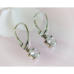 Ohrhänger Silber 925 SM72