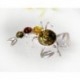 Bernsteinschmuck  Bernstein Brosche Silber 925 CY126