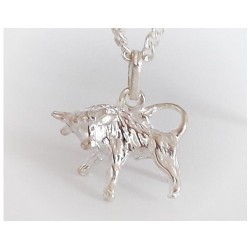 Sternzeichen Stier Silberschmuck (GE)