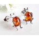 Bernsteinschmuck - Bernstein-Ohrstecker Frosch  (ED167-2)