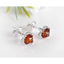 Bernstein Ohrstecker Silber 925 Ohrringe cognac Sterlingsilber ed120