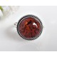 Bernsteinschmuck - Bernstein-Ring   Silber-925 (BR246)