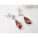 Bernstein Ohrstecker Silber 925 braun Ohrringe  ed210